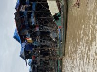 IMG_8920.jpeg