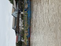 IMG_8900.jpeg