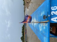 IMG_8891.jpeg