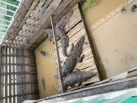 IMG_8934.jpeg