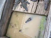IMG_8932.jpeg