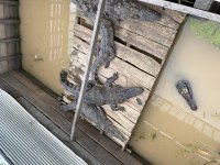 IMG_8931.jpeg