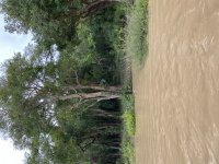 IMG_8930.jpeg