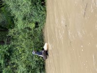 IMG_8929.jpeg
