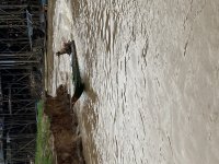 IMG_8923.jpeg