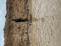 IMG_8899.jpeg
