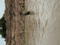 IMG_8886.jpeg