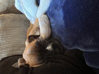 IMG_8049.jpeg