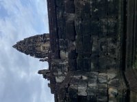 IMG_8977.jpeg