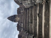 IMG_8971.jpeg