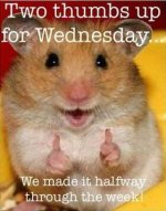 wednesday.jpg