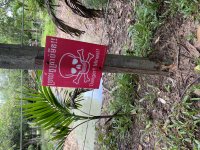 IMG_9099.jpeg