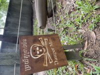 IMG_9098.jpeg