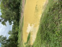 IMG_9096.jpeg