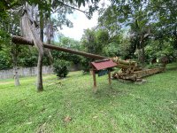 IMG_9082.jpeg