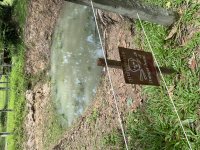 IMG_9077.jpeg