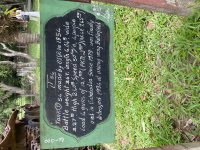 IMG_9076.jpeg
