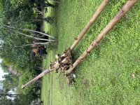 IMG_9073.jpeg