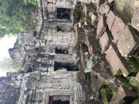 IMG_9041.jpeg