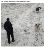 1722091803988.png