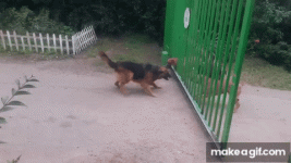 1722126236392.gif