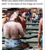 1722444862425.png