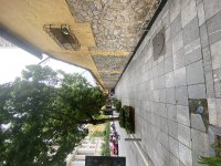 IMG_9326.jpeg