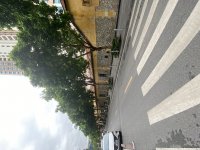 IMG_9330.jpeg
