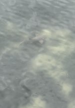 IMG_8127.jpeg