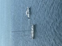 IMG_8274.jpeg
