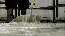 1722977955417.gif