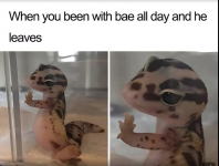 1723044432784.png