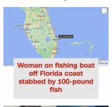 1658684223688.jpeg