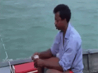 1723128955894.gif