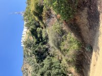 IMG_0020.jpeg