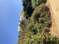 IMG_0019.jpeg