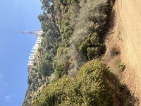 IMG_0017.jpeg
