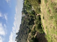IMG_0011.jpeg