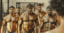 chesticles-abs.gif