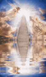 1724186901635.gif