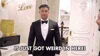 IMG_8835.gif