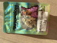 IMG_9929.jpeg