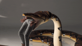 IMG_8855.gif