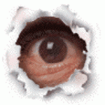 1724775829152.gif