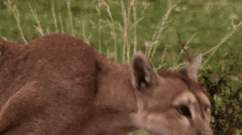 IMG_8888.gif
