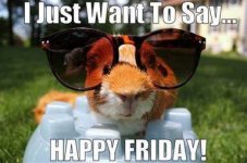 friday.jpg