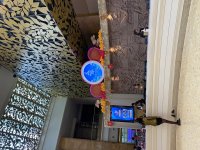 IMG_0380.jpeg