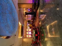 IMG_0384.jpeg