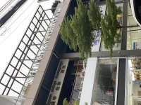 IMG_0415.jpeg