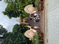 IMG_0482.jpeg